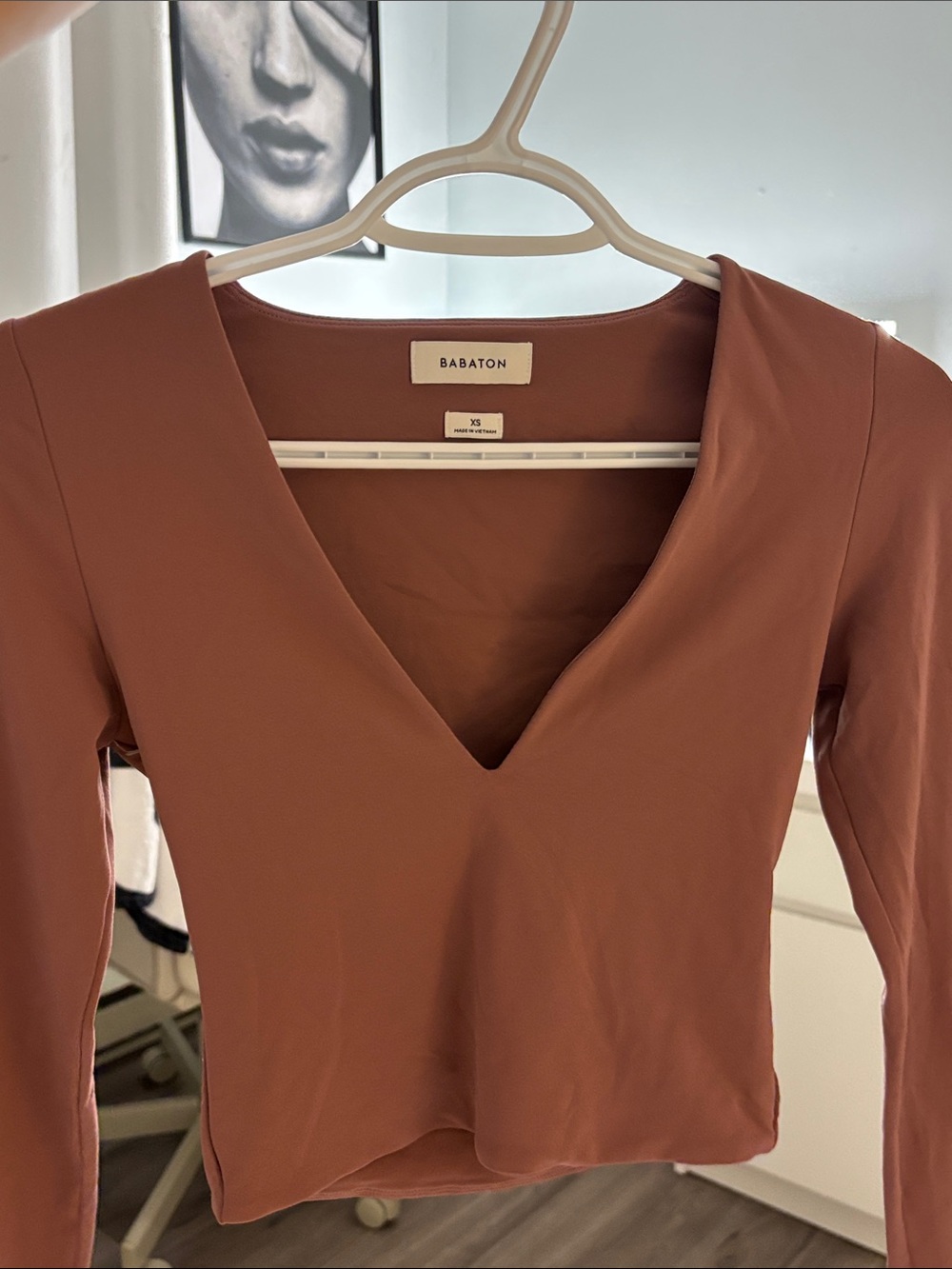 Aritzia Babaton V Line Longsleeve Top